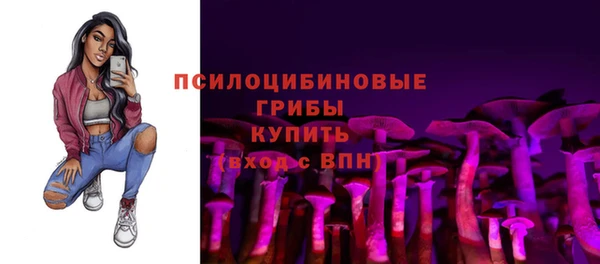 PSILOCYBIN Богородицк